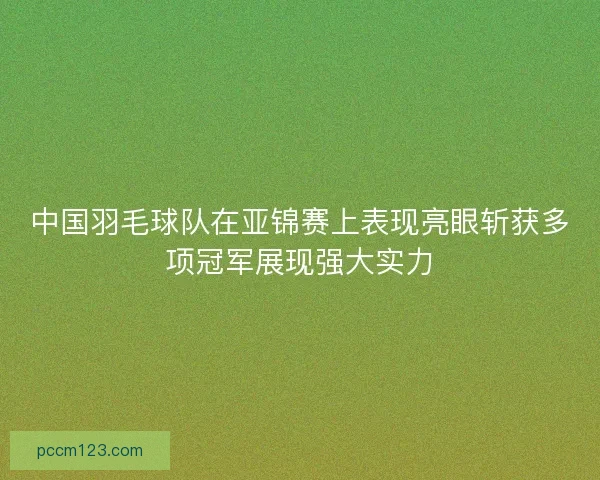中国羽毛球队在亚锦赛上表现亮眼斩获多项冠军展现强大实力