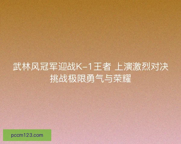 武林风冠军迎战K-1王者 上演激烈对决挑战极限勇气与荣耀